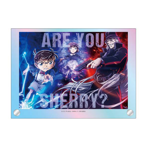 名探偵コナン 黒鉄の魚影 デュエルビジュアル オーロラアクリルボード